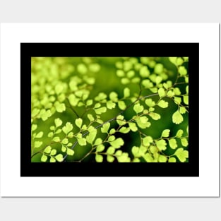 Awesome green leaves tree Posters and Art